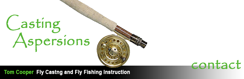 Casting Aspersions Fly Casting and FlyFishing School - Home