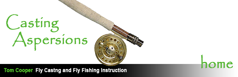 Casting Aspersions Fly Casting and FlyFishing School - Home