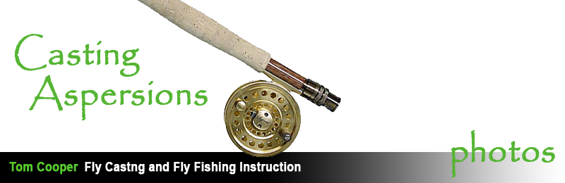 Casting Aspersions Fly Casting and FlyFishing School - Home